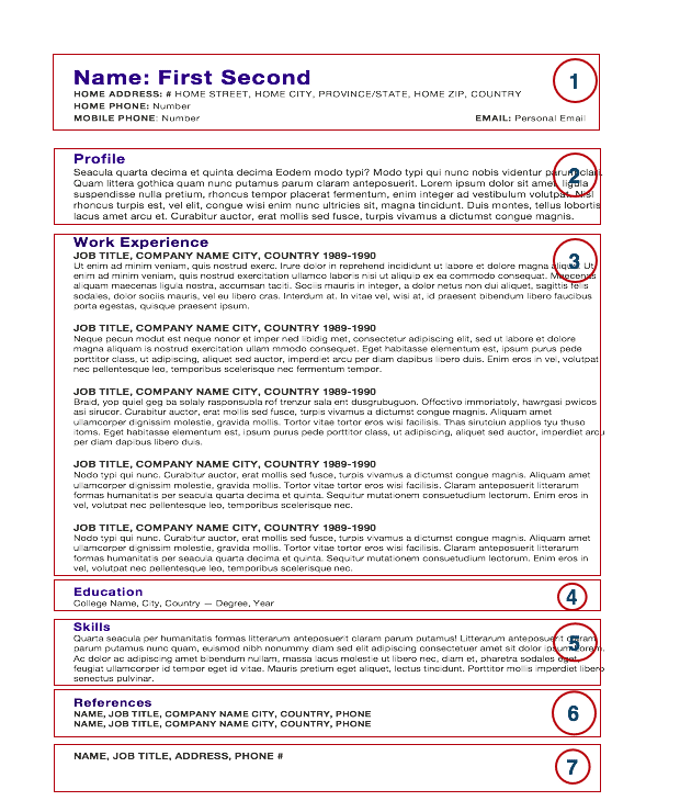 Chef Resume CV Schema